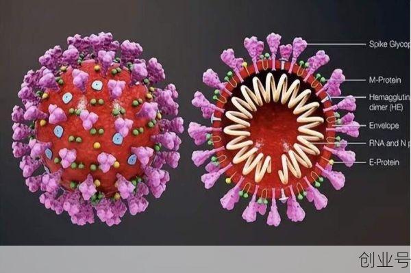 到底是谁第一个得了新冠病毒，新冠病毒第一个感染者