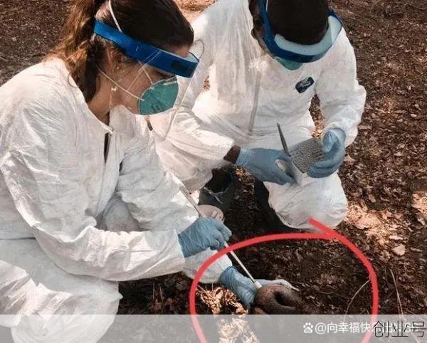 扬州市传染病疫情2019年11月份，2019传染病疫情最新消息